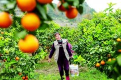 <strong>“我们将全力保障</strong>