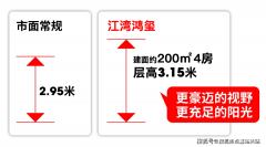 星空顶银狐布景墙