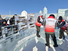 <b>涉案4900余万</b>